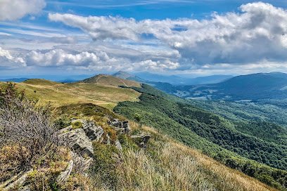 Bieszczady Mountains